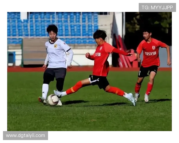 武汉乒乓球队在全国灵活性排行榜中荣登第十名展现卓越实力与潜力